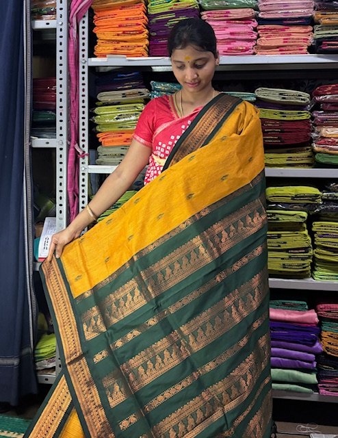 Mustard yellow Palluview